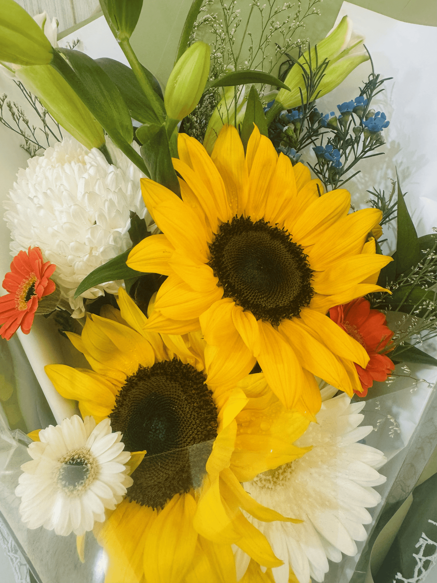 Elegant Fresh Green - Precious Gabriel Australia