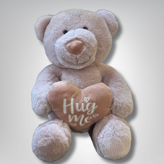 Teddy Bear with Hug me Soft Toy