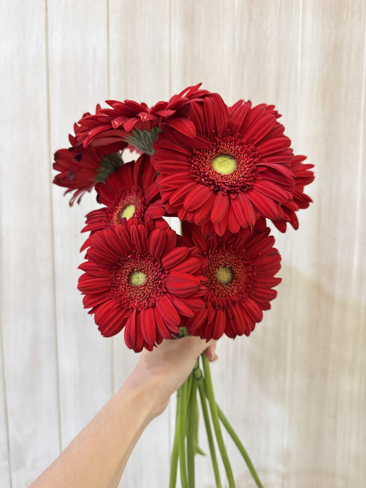 Additional Flowers - Precious Gabriel Australia