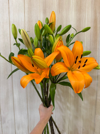 Additional Flowers - Precious Gabriel Australia