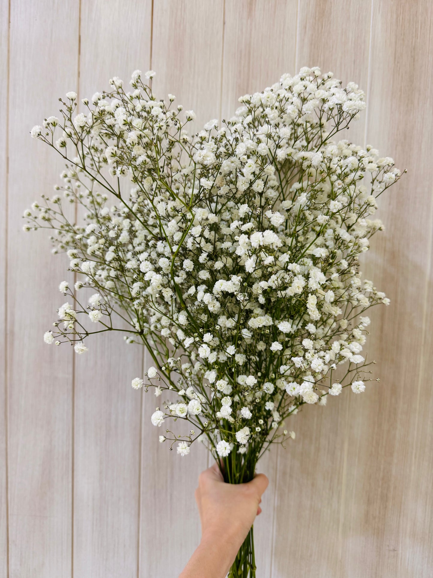 Additional Flowers - Precious Gabriel Australia