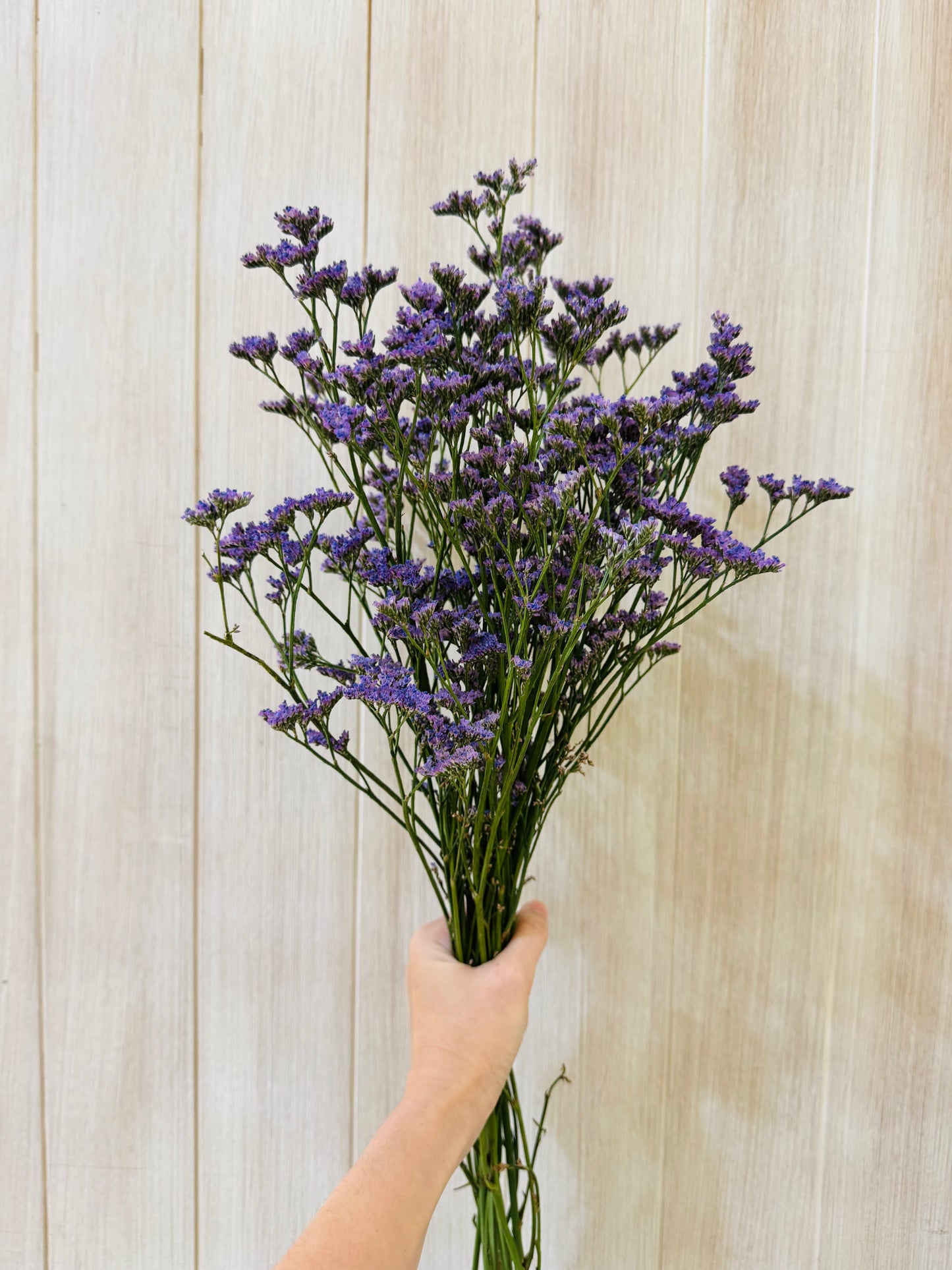 Additional Flowers - Precious Gabriel Australia