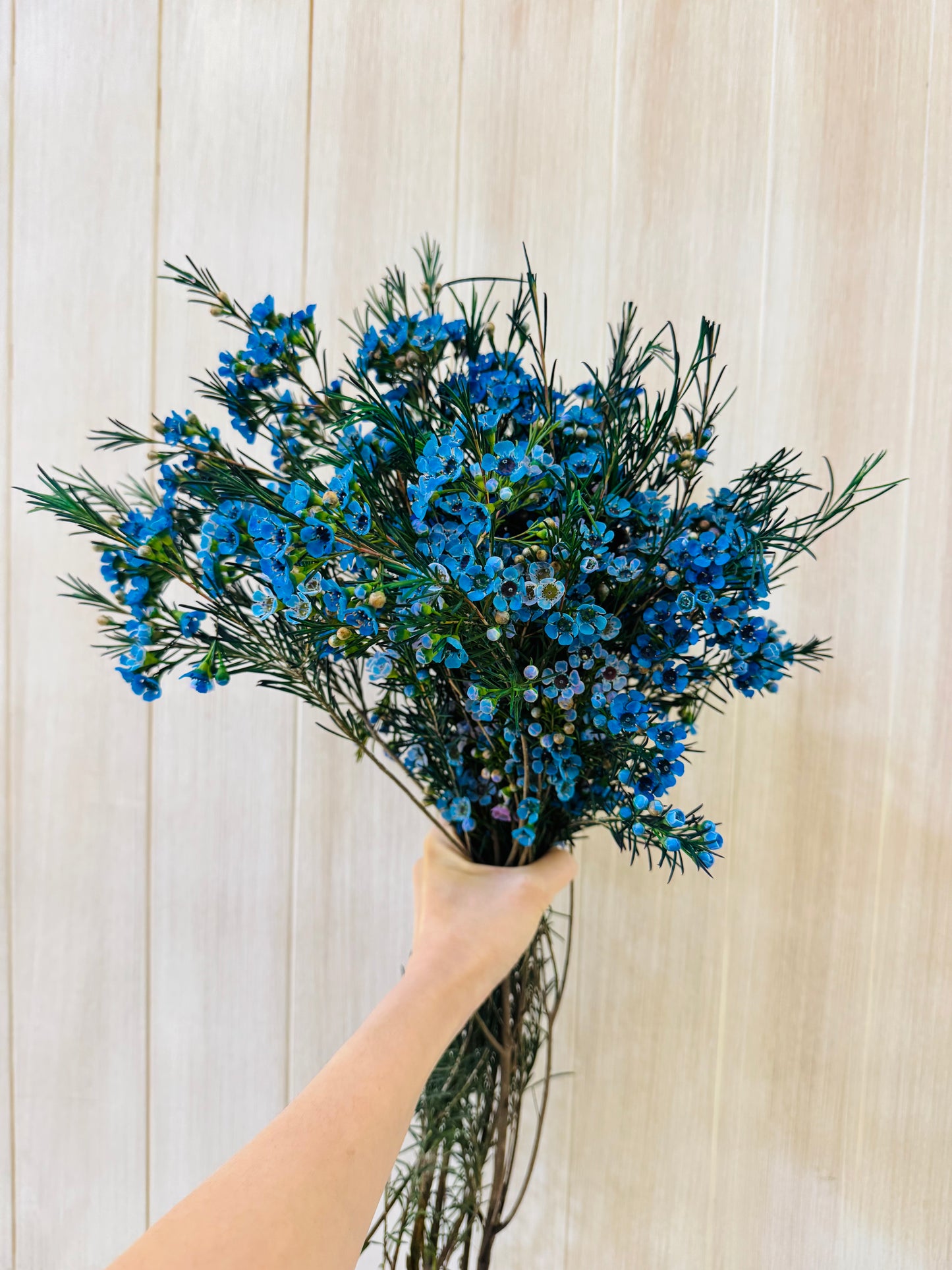 Additional Flowers - Precious Gabriel Australia