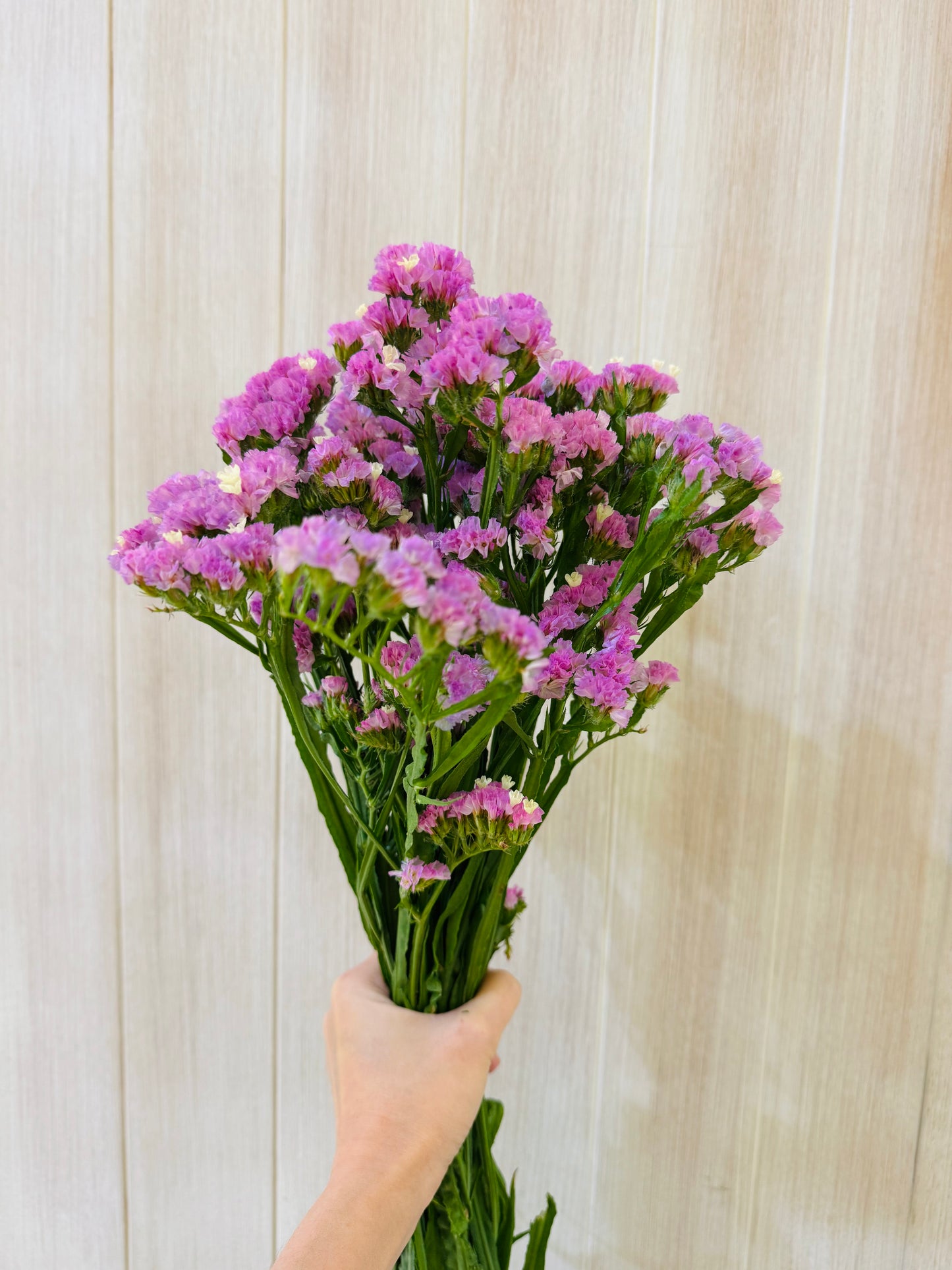 Additional Flowers - Precious Gabriel Australia