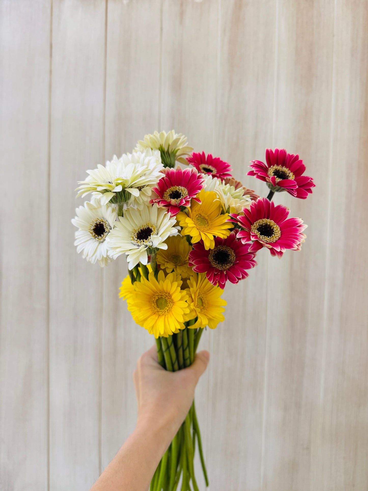 Additional Flowers - Precious Gabriel Australia