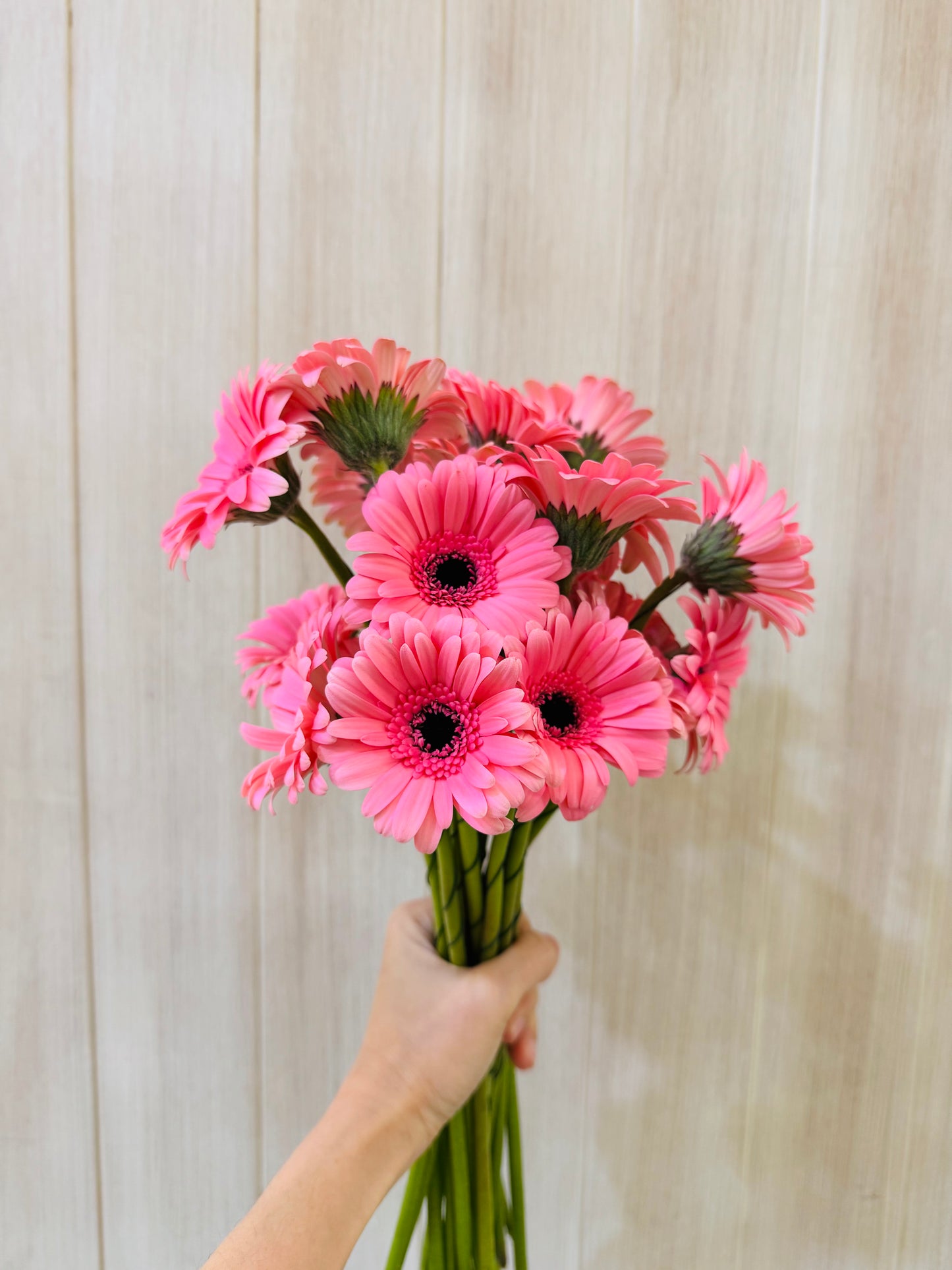 Additional Flowers - Precious Gabriel Australia