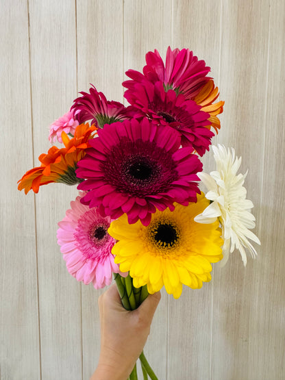 Additional Flowers - Precious Gabriel Australia